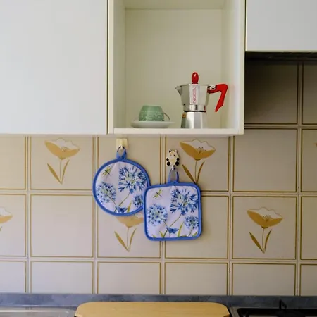 Dietro Le Quinte A Senigallia